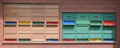 2012 04 Front Vereinsbiene3