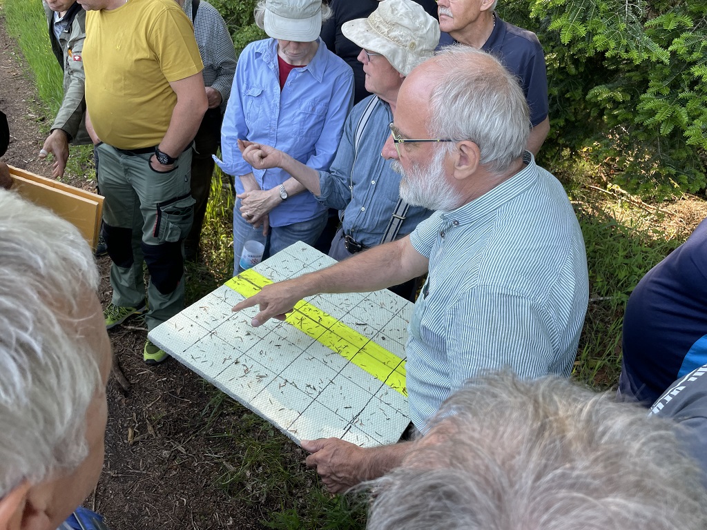 Imkertreff zum Thema Waldtracht
