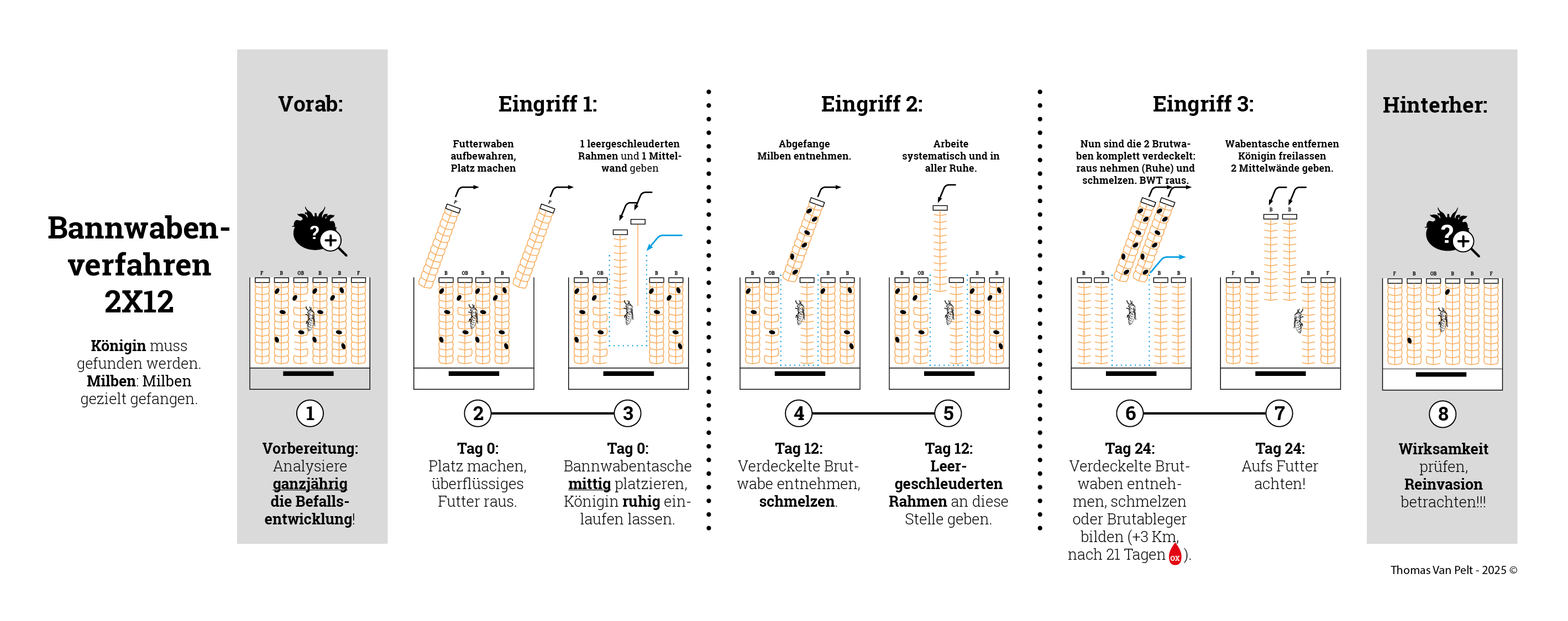 Bannwabenverfahren Timing und Details 2X12