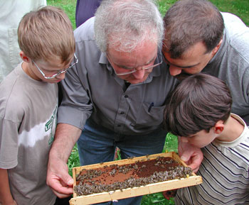 2002-Imkerkurs-Bienenwabe-b