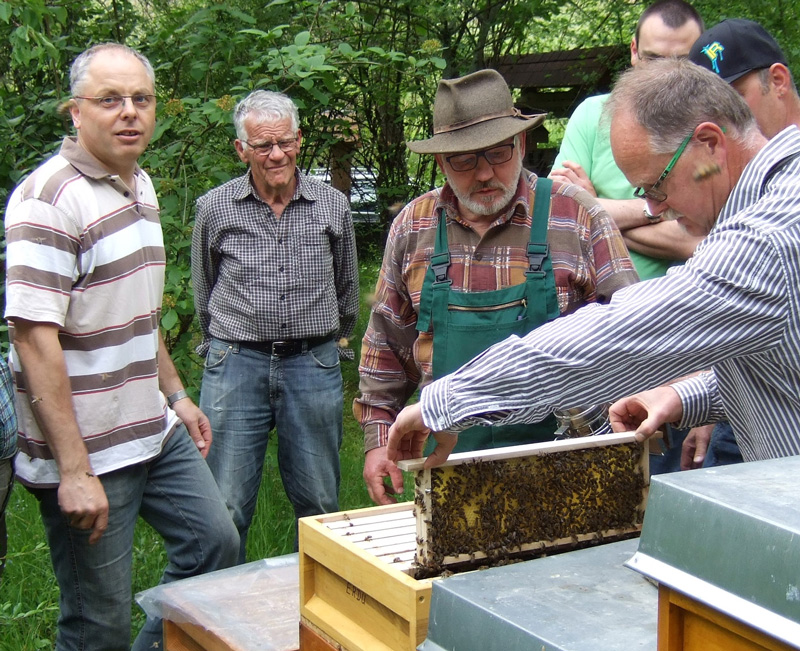 2016 Koeniginnenzucht AG2