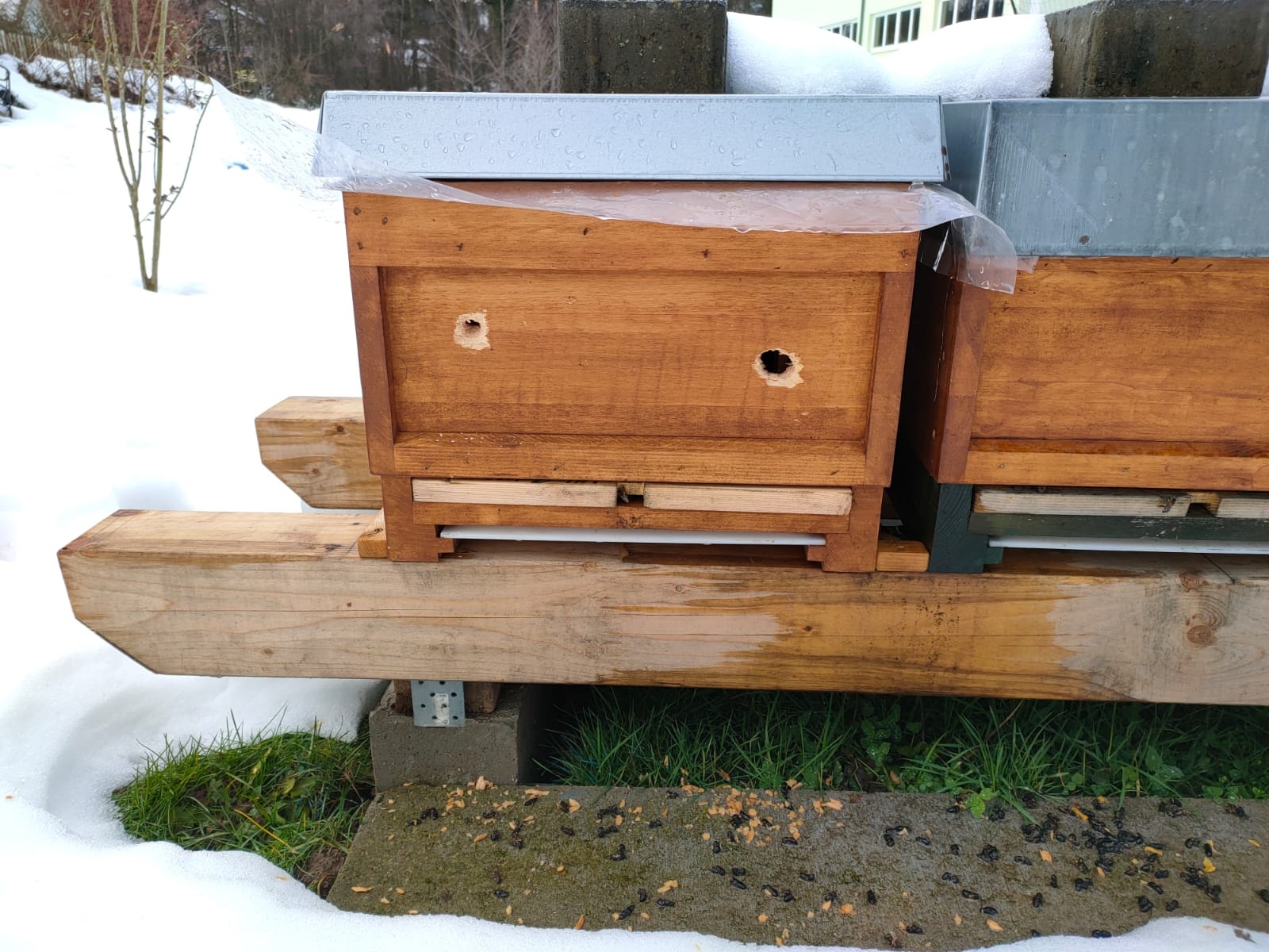 Unerwünschte zusätzliche Fluglöcher